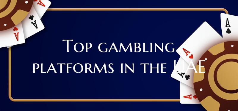 Top gambling platforms in th...